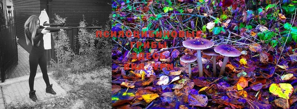 марки lsd Армянск